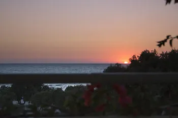 Irene マスティハリ